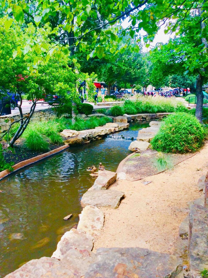 creek and park