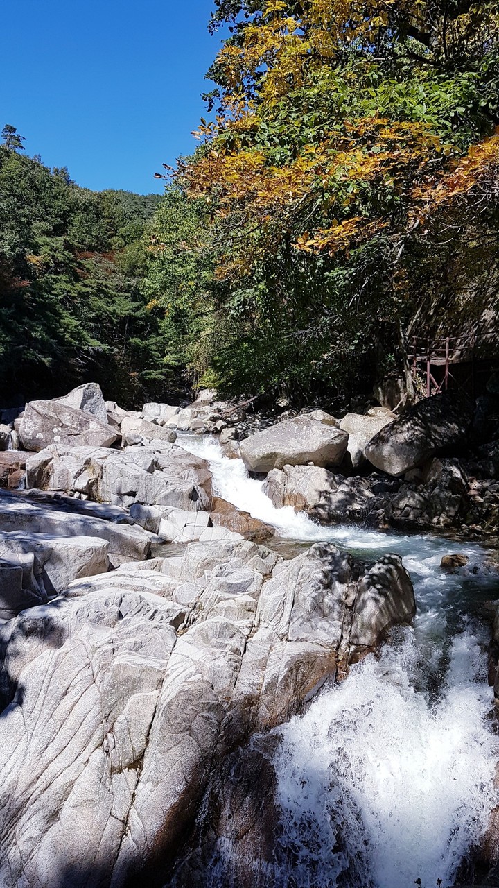 Mt.Gaya