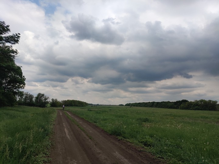 Дорога домой