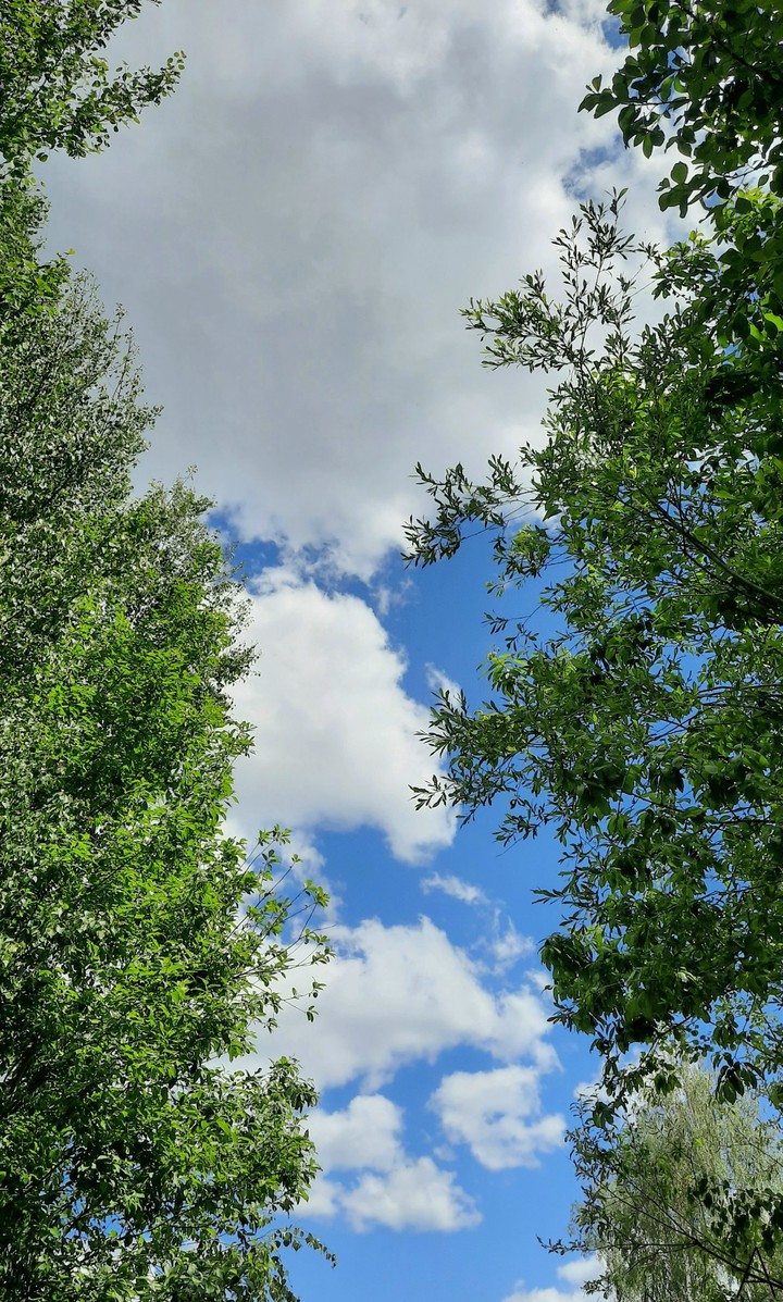 Summer