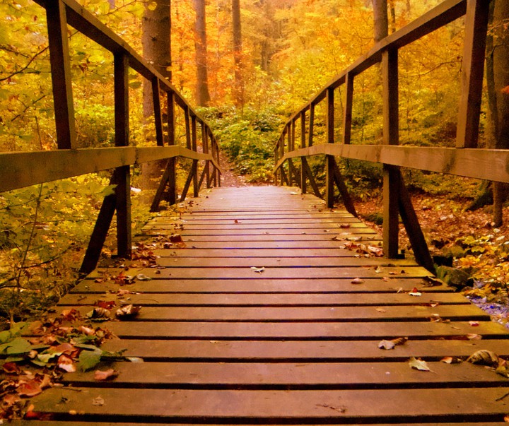 Autumn