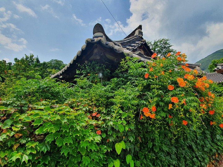 old house 고택