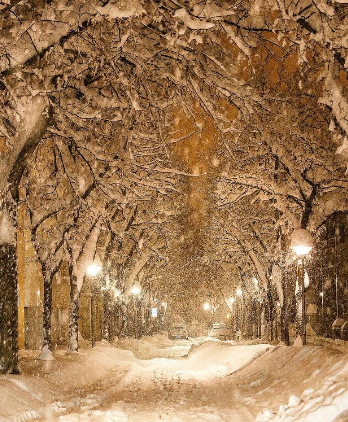beautiful