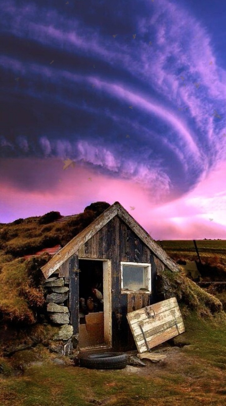 Purple Storm