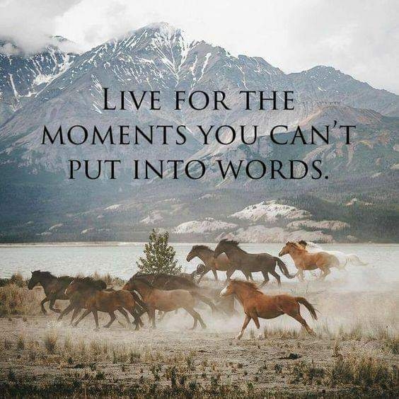 live