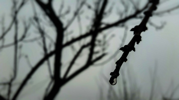 Drop