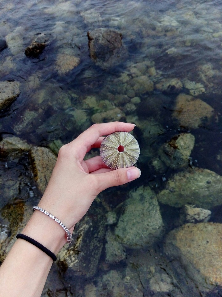 sea