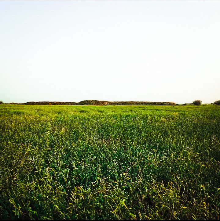 حديقه وطنيه جازان