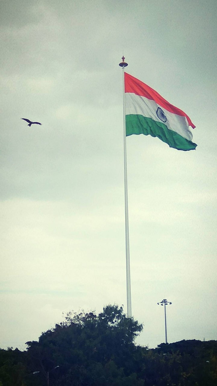 Independence Day