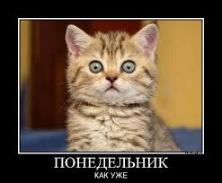 он офигел