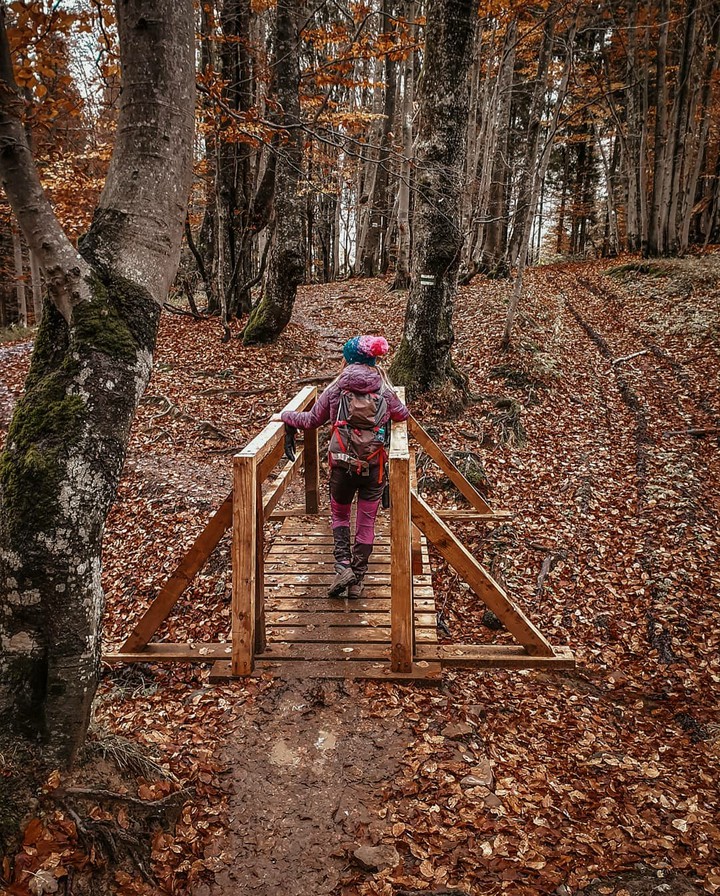 Autumn