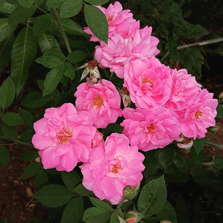 ❤