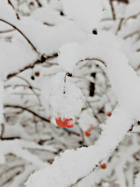 тапети eye, freezing