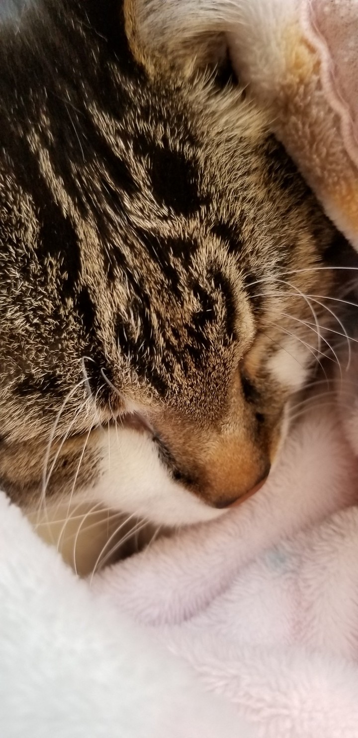 まどろみ