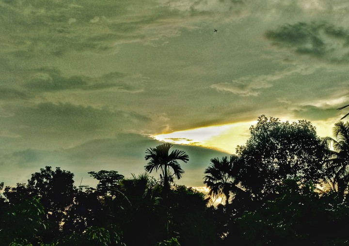 We will forever be faded under gold skies..