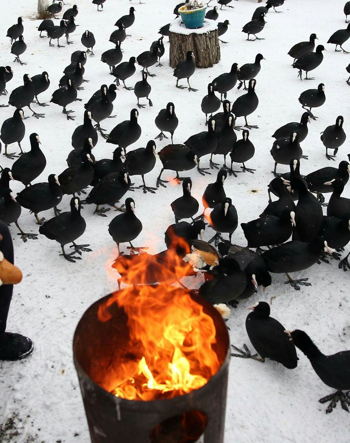 türkiye' de kış