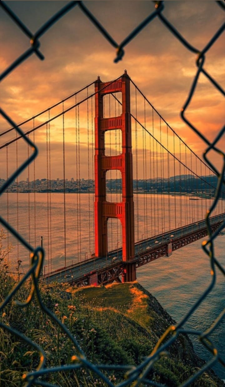 bridge