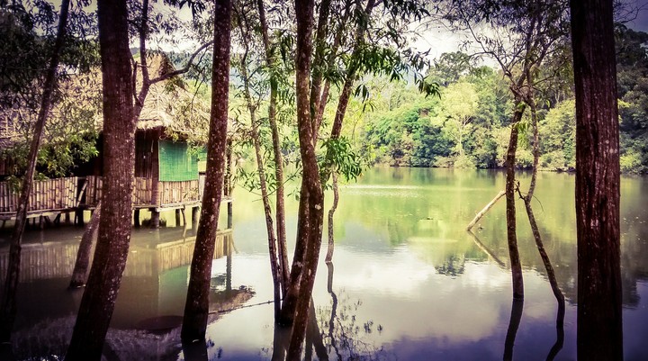 God's own country - Kerala