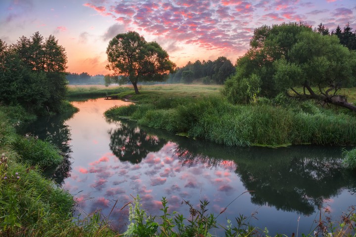 pink clouds in the river ...