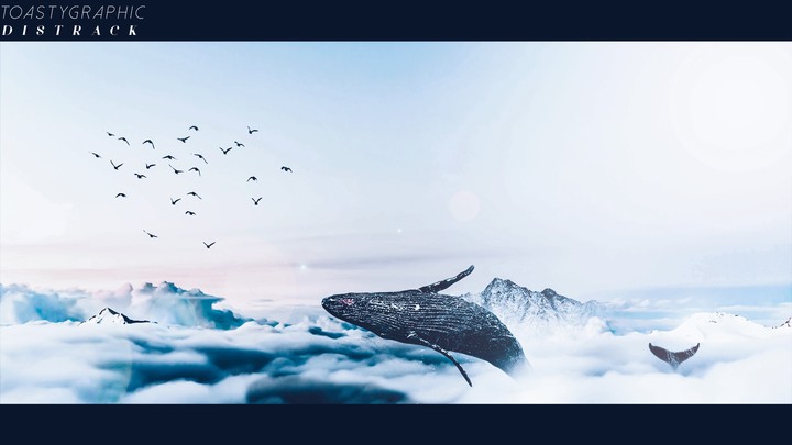 Over the skies