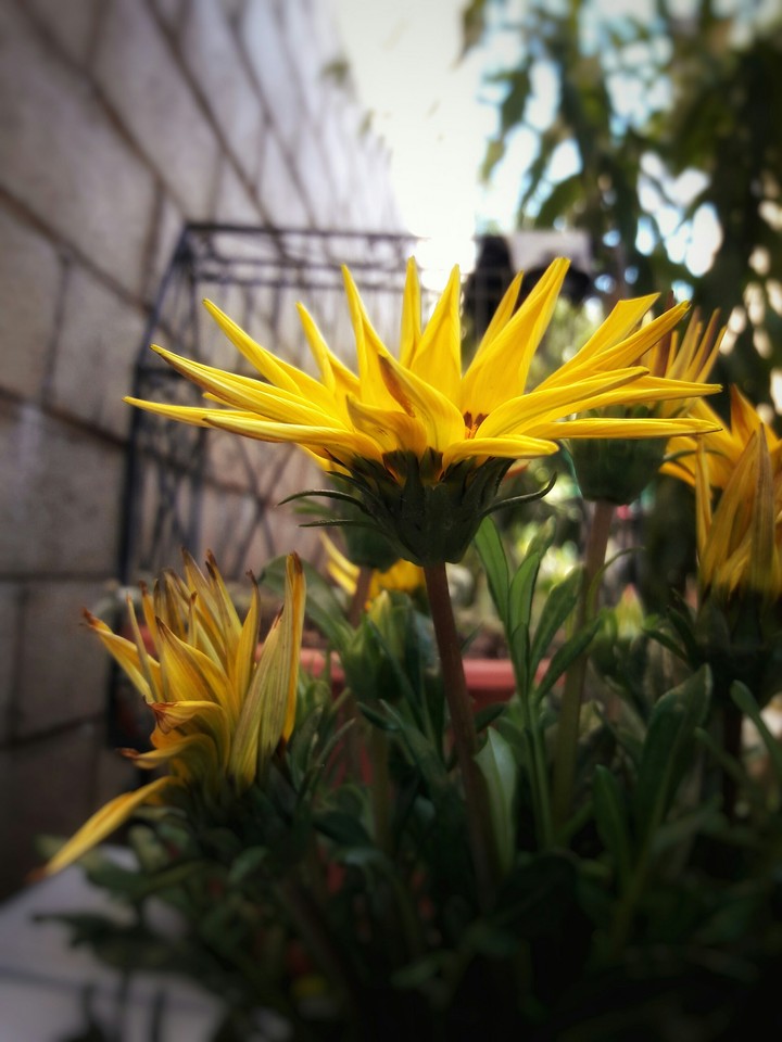 Nature