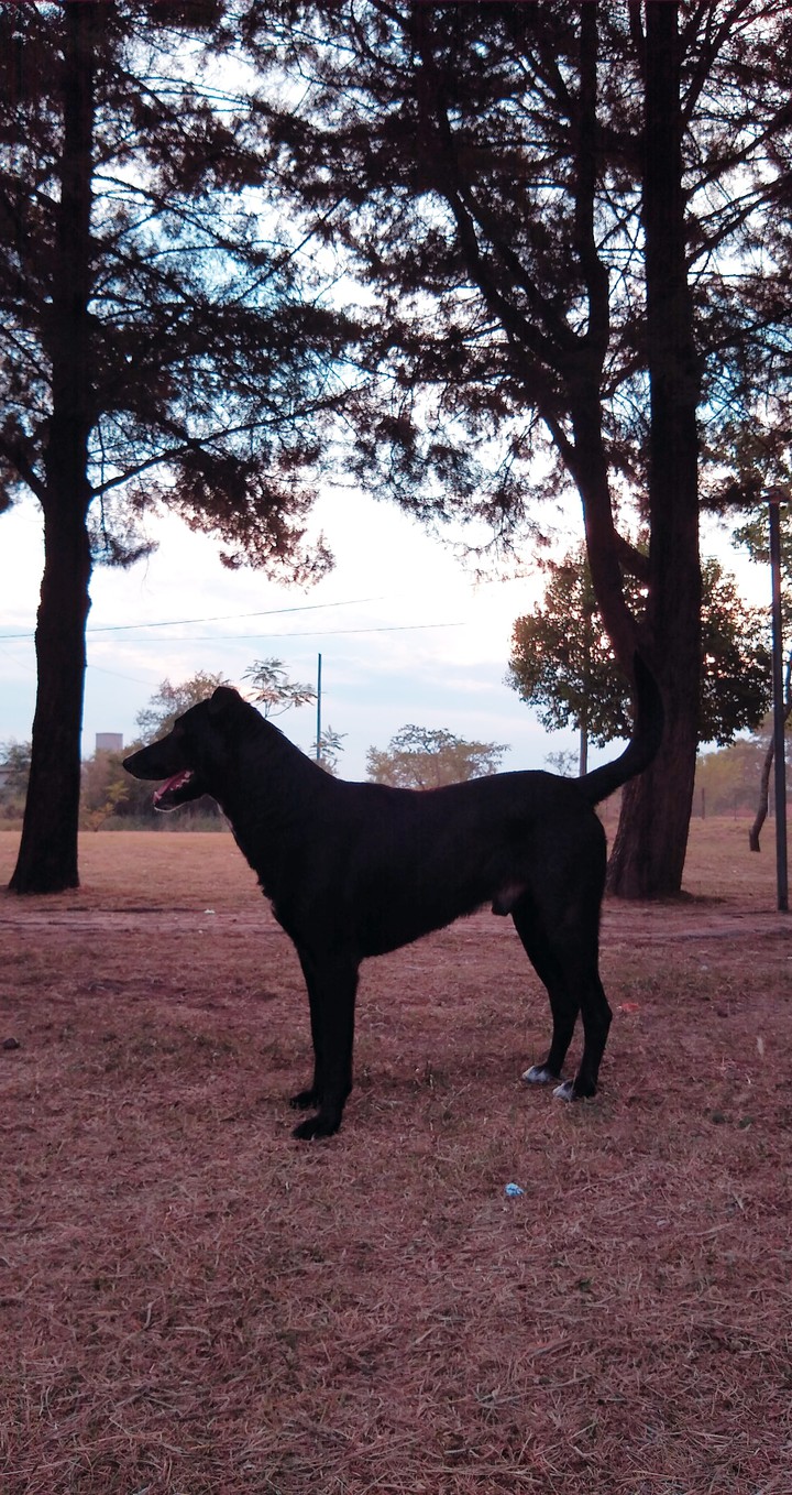 llega la noche