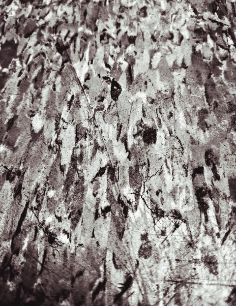 Tile pattern