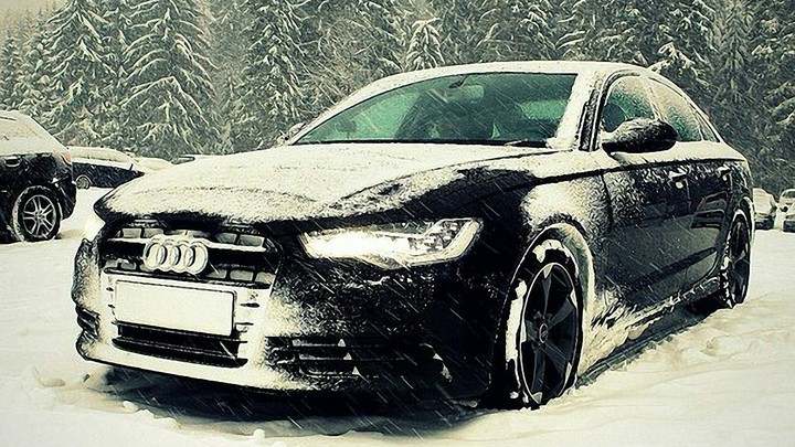 Audi and the snow
