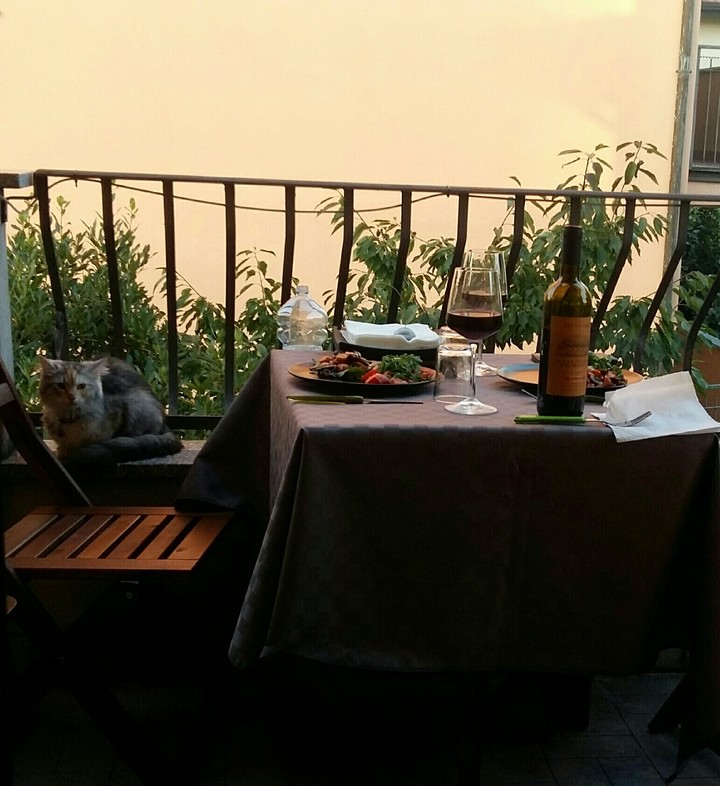 waiting for the dinner)