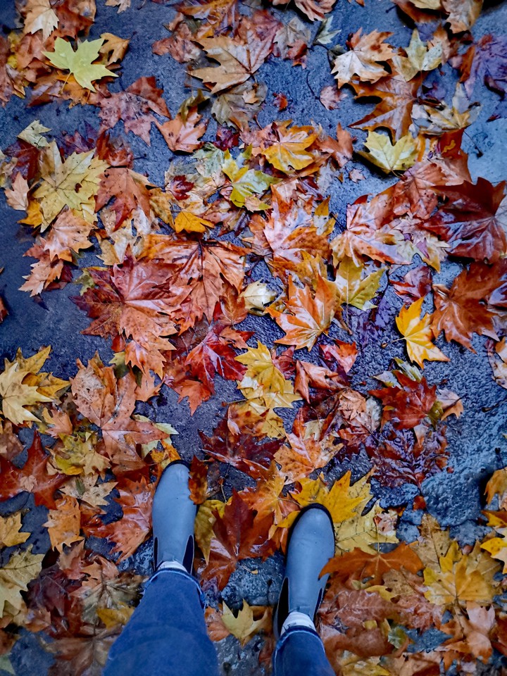 Autumn vibes
