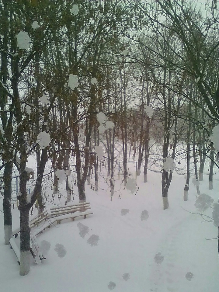 We have a snow!
