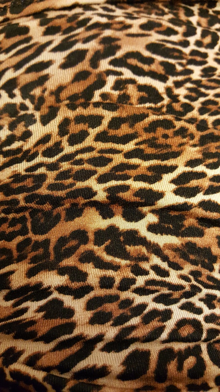 Leopard background