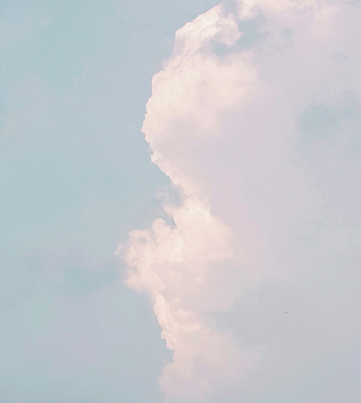 / Half