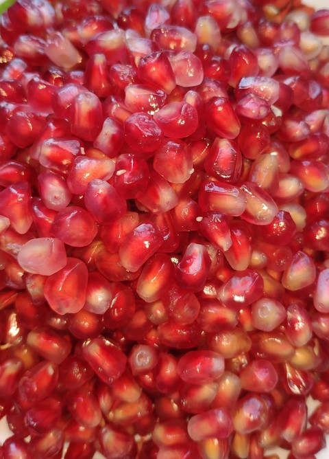 Garnet