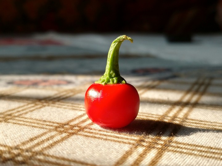 red chilly
