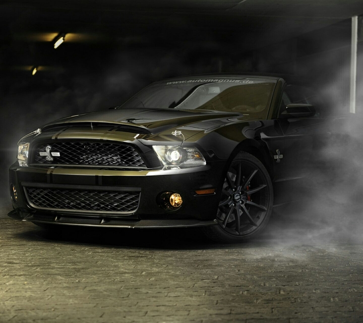 Mustang