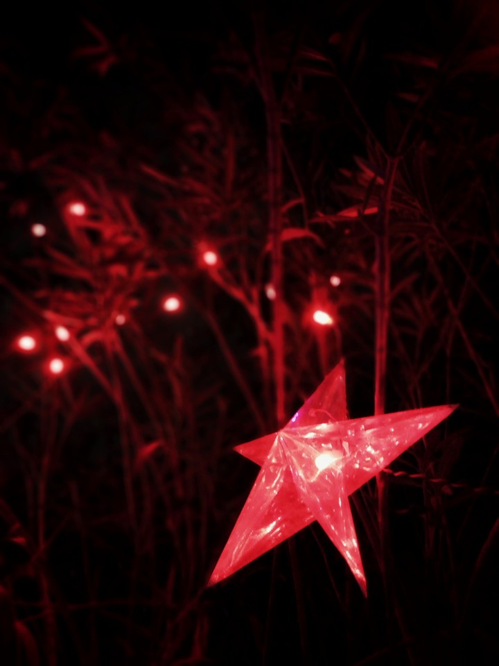 LITTLE STAR
