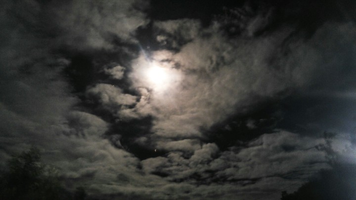 night