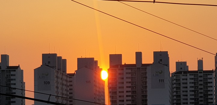 건물사이 낀 태양