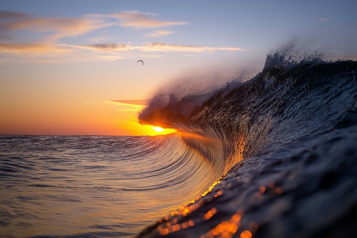 Wave
