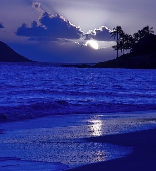 moon light