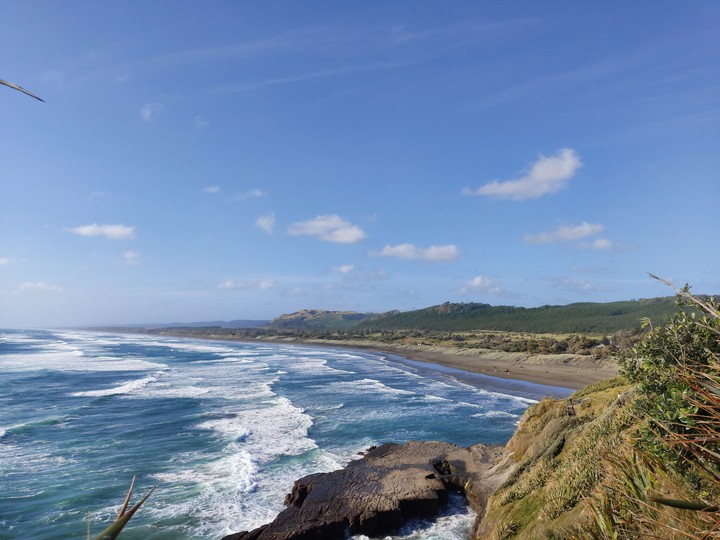 trip to new zealand