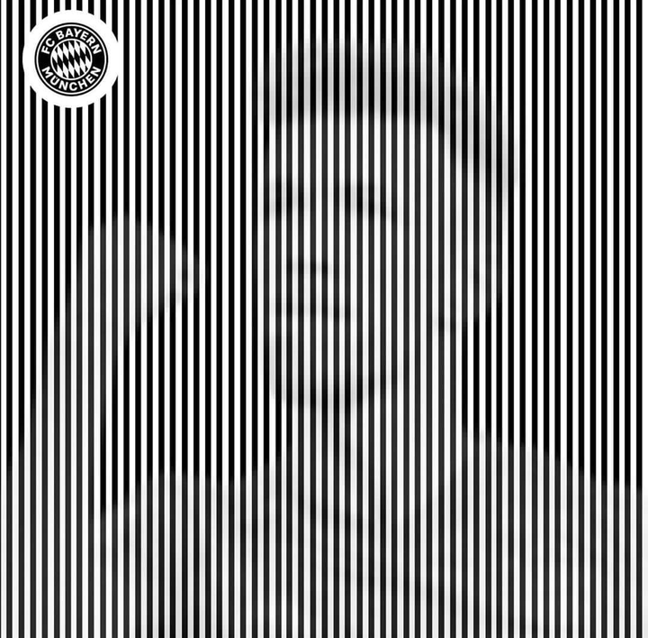 stripes ivan perisic