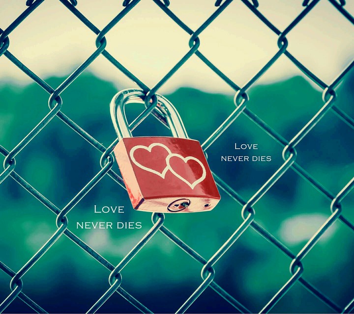 love never dies
