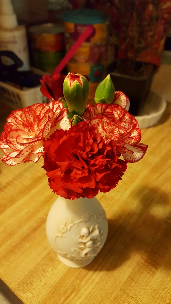 carnations