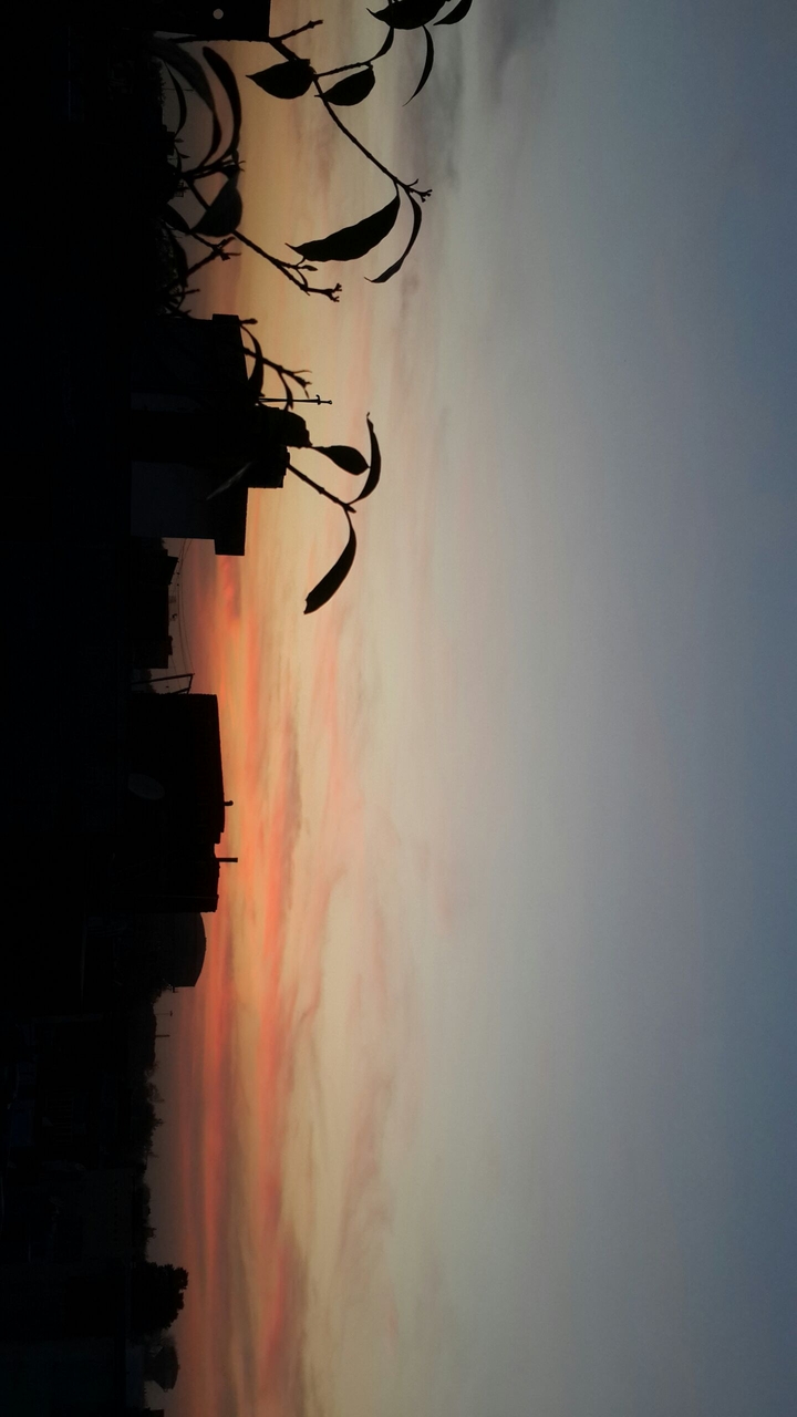 perfect sunset. ...