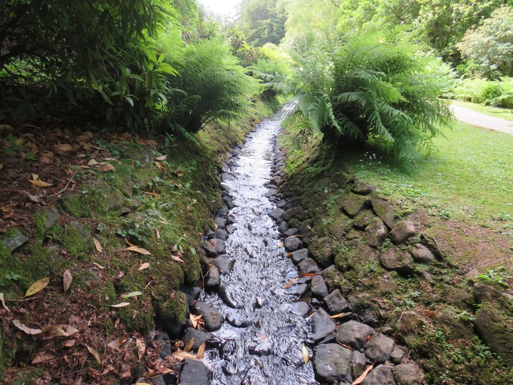 trickle of water