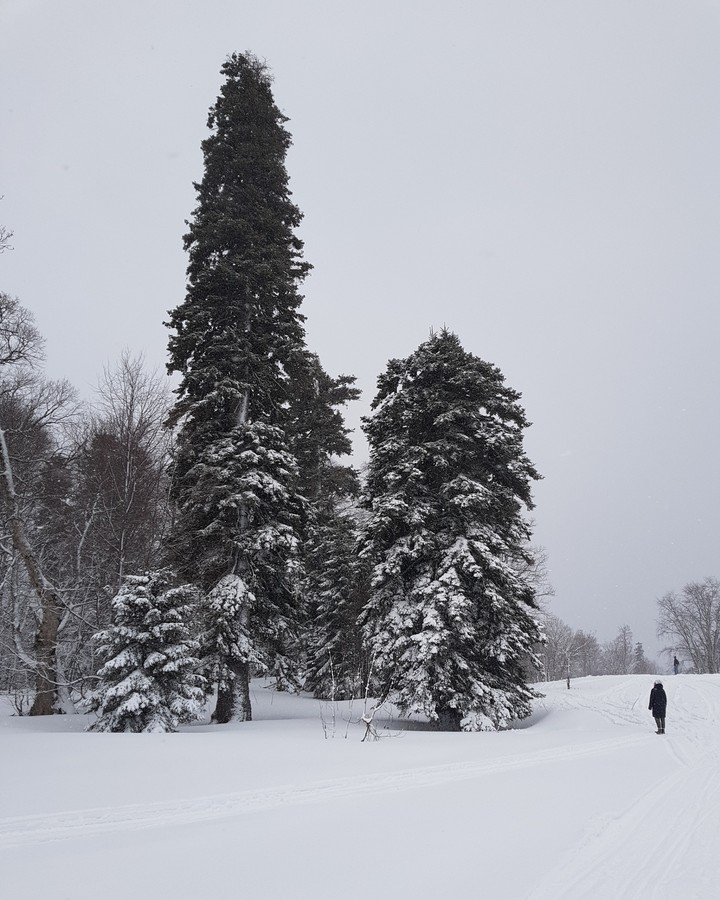 великаны