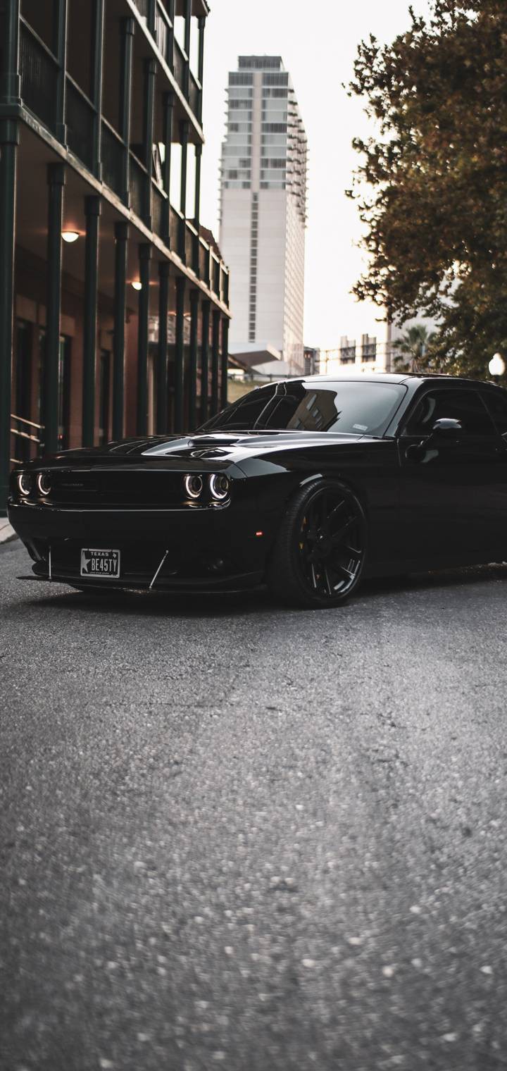 dodge challenger