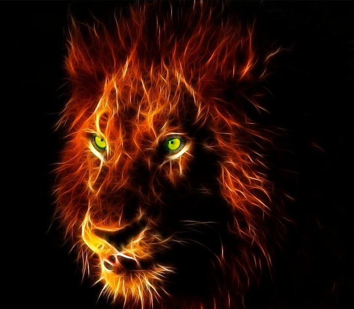Lagend... King of Africa...
